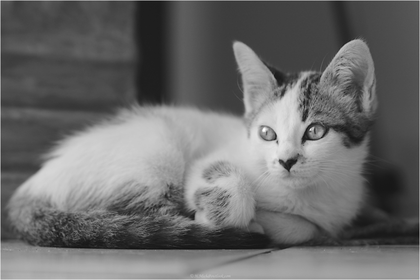 Studio-One.Art.br Repo Fotografia em Rio Preto SP/Brasil