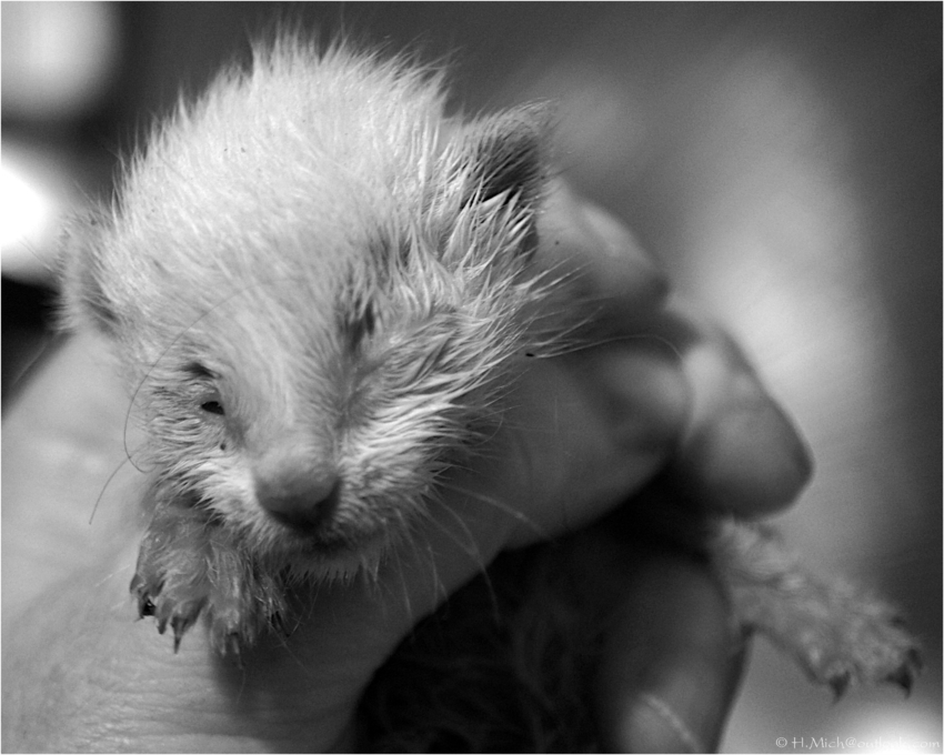 Studio-One.Art.br Repo Fotografia em Rio Preto SP/Brasil