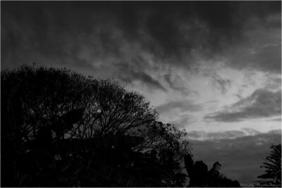 © H.mich@outlook.com