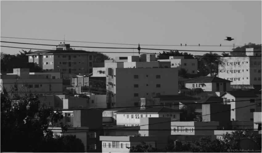 Studio-One.Art.br Repo Fotografia em Rio Preto SP/Brasil