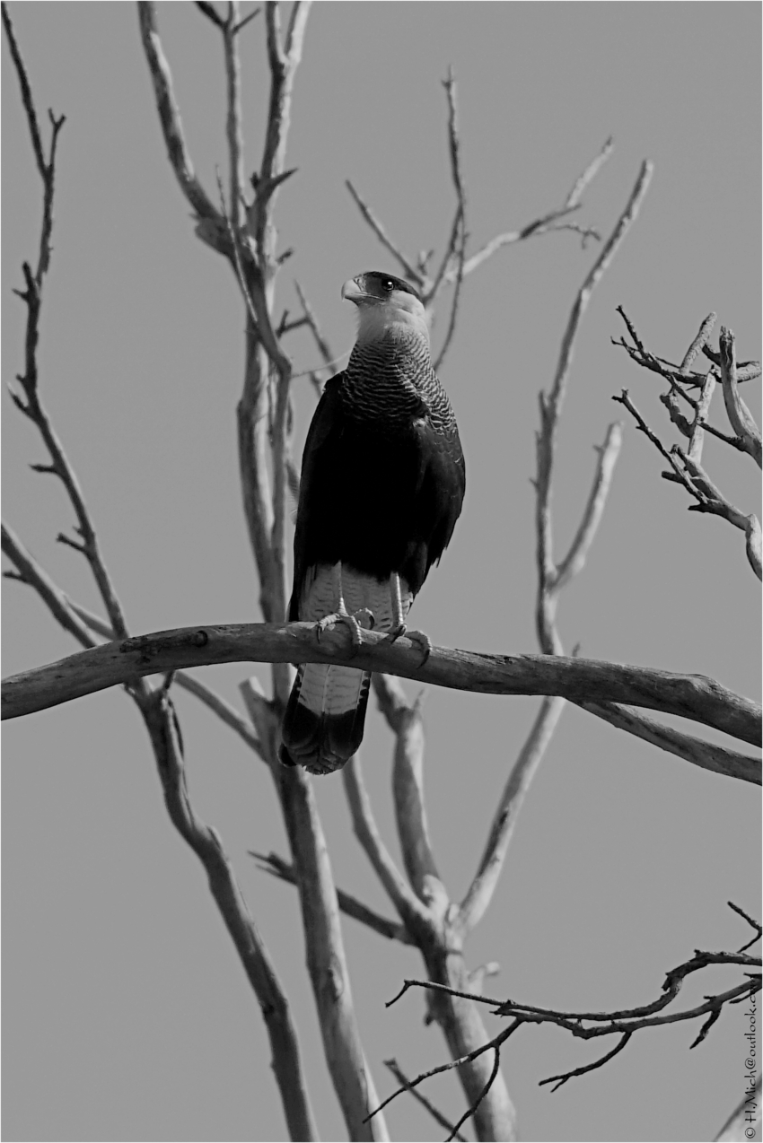 Studio-One.Art.br Repo Fotografia em Rio Preto SP/Brasil