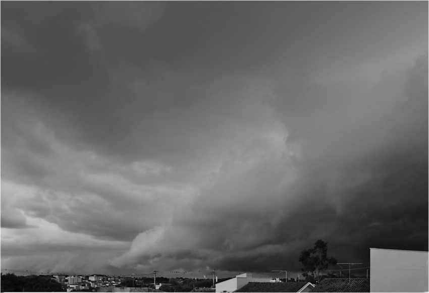 Studio-One.Art.br Repo Fotografia em Rio Preto SP/Brasil