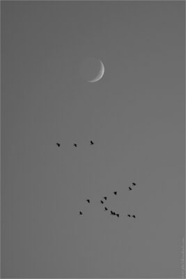 © H.mich@outlook.com