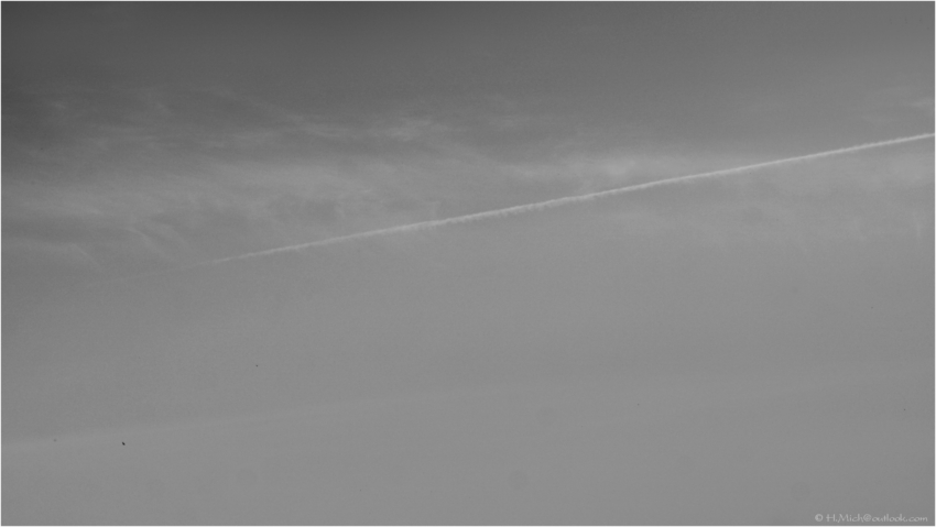 Studio-One.Art.br Repo Fotografia em Rio Preto SP/Brasil