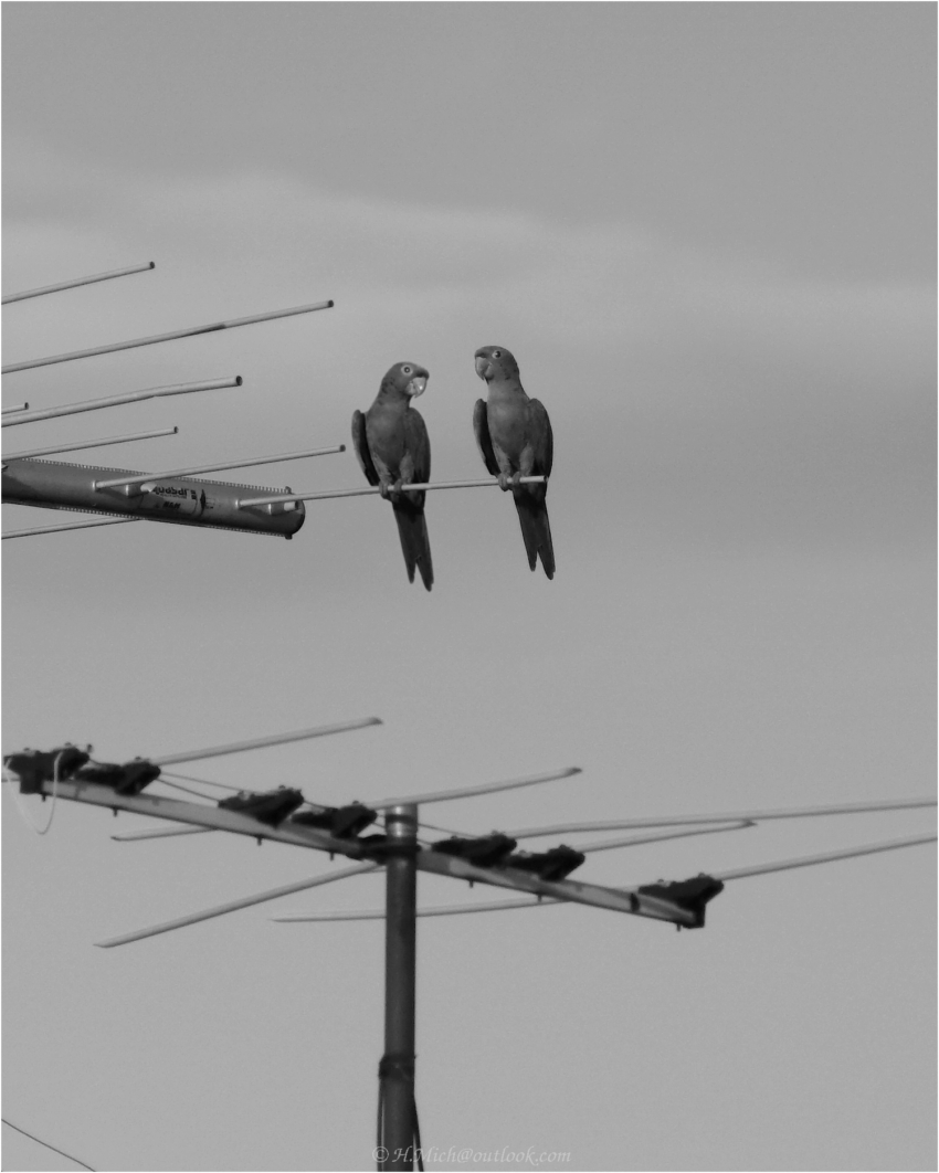 Studio-One.Art.br Repo Fotografia em Rio Preto SP/Brasil