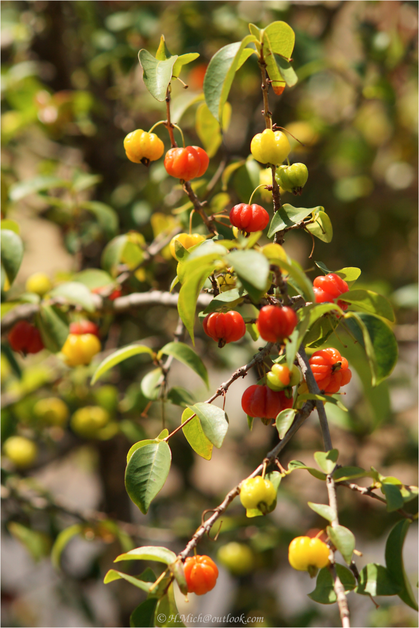 Studio-One.Art.br Repo Fotografia em Rio Preto SP/Brasil