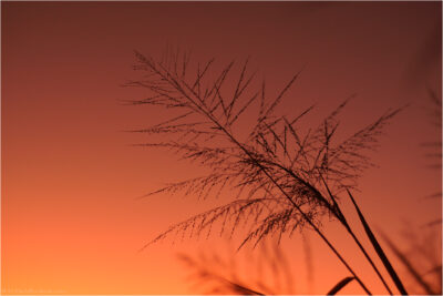 © H.mich@outlook.com