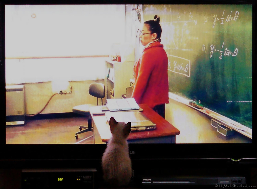 Studio-One.Art.br Repo Fotografia em Rio Preto SP/Brasil