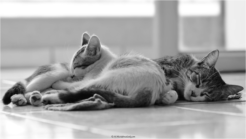 Studio-One.Art.br Repo Fotografia em Rio Preto SP/Brasil