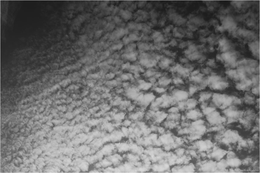 Studio-One.Art.br Repo Fotografia em Rio Preto SP/Brasil