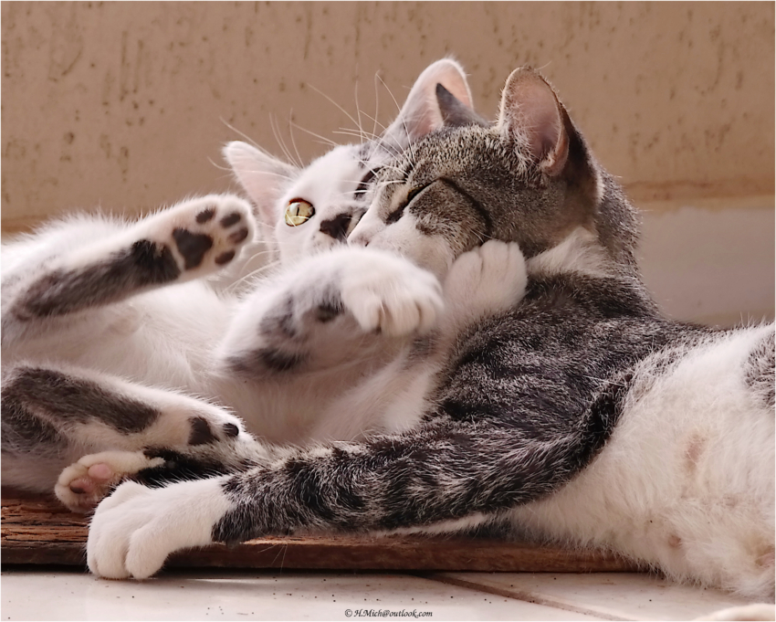 Studio-One.Art.br Repo Fotografia em Rio Preto SP/Brasil