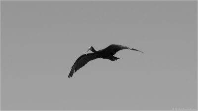 © H.mich@outlook.com