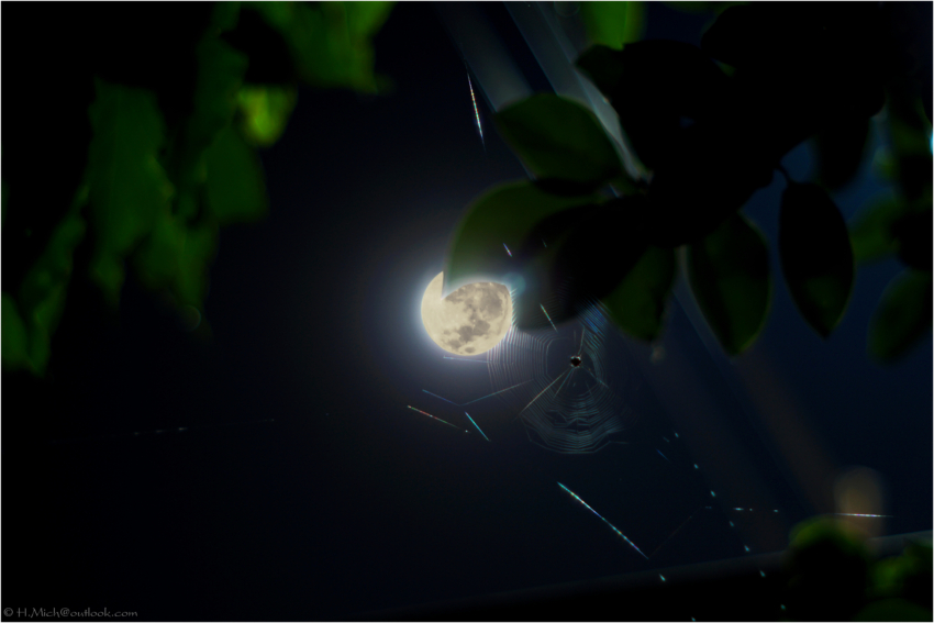 Studio-One.Art.br Repo Fotografia em Rio Preto SP/Brasil