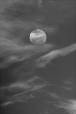 © H.mich@outlook.com