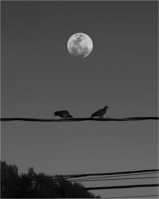 © H.mich@outlook.com
