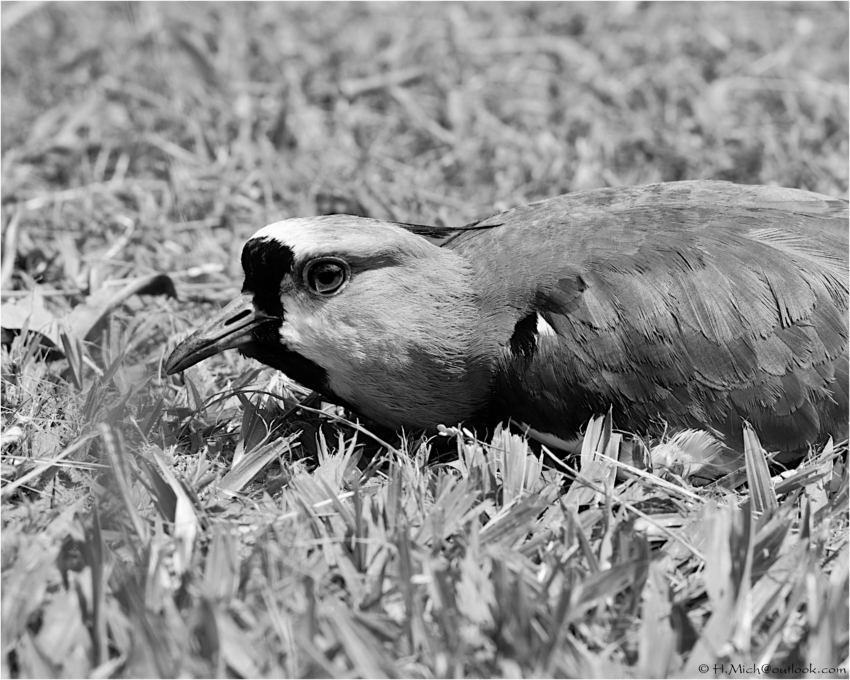 Studio-One.Art.br Repo Fotografia em Rio Preto SP/Brasil