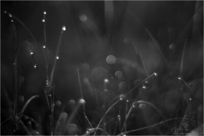 © H.mich@outlook.com