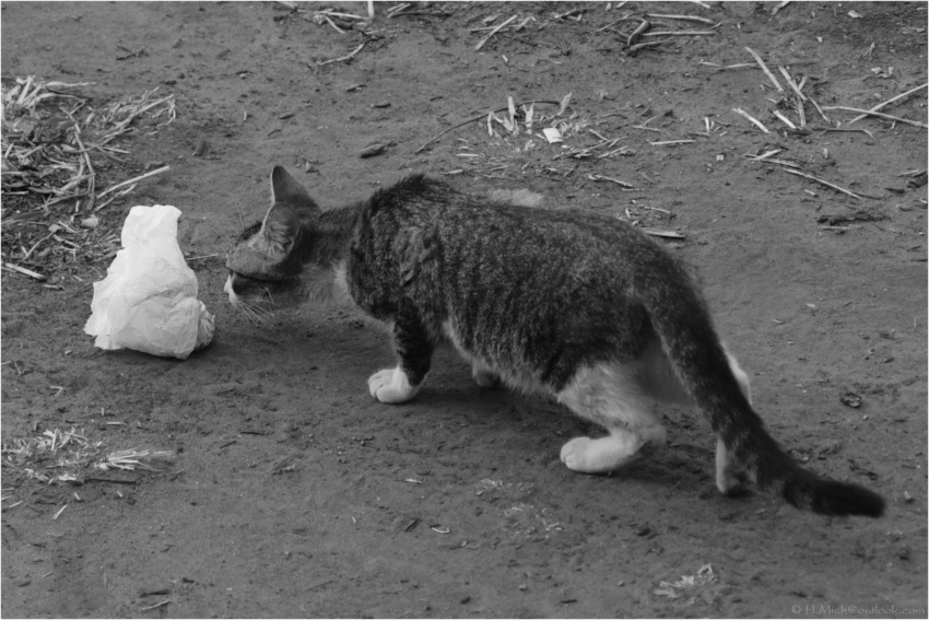 Studio-One.Art.br Repo Fotografia em Rio Preto SP/Brasil