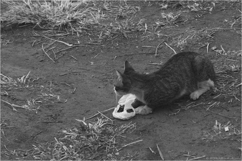 Studio-One.Art.br Repo Fotografia em Rio Preto SP/Brasil