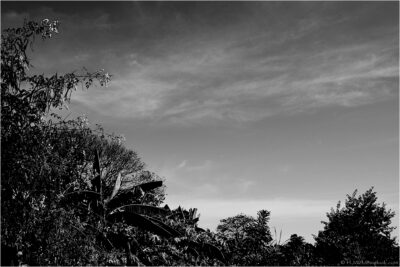 © H.mich@outlook.com
