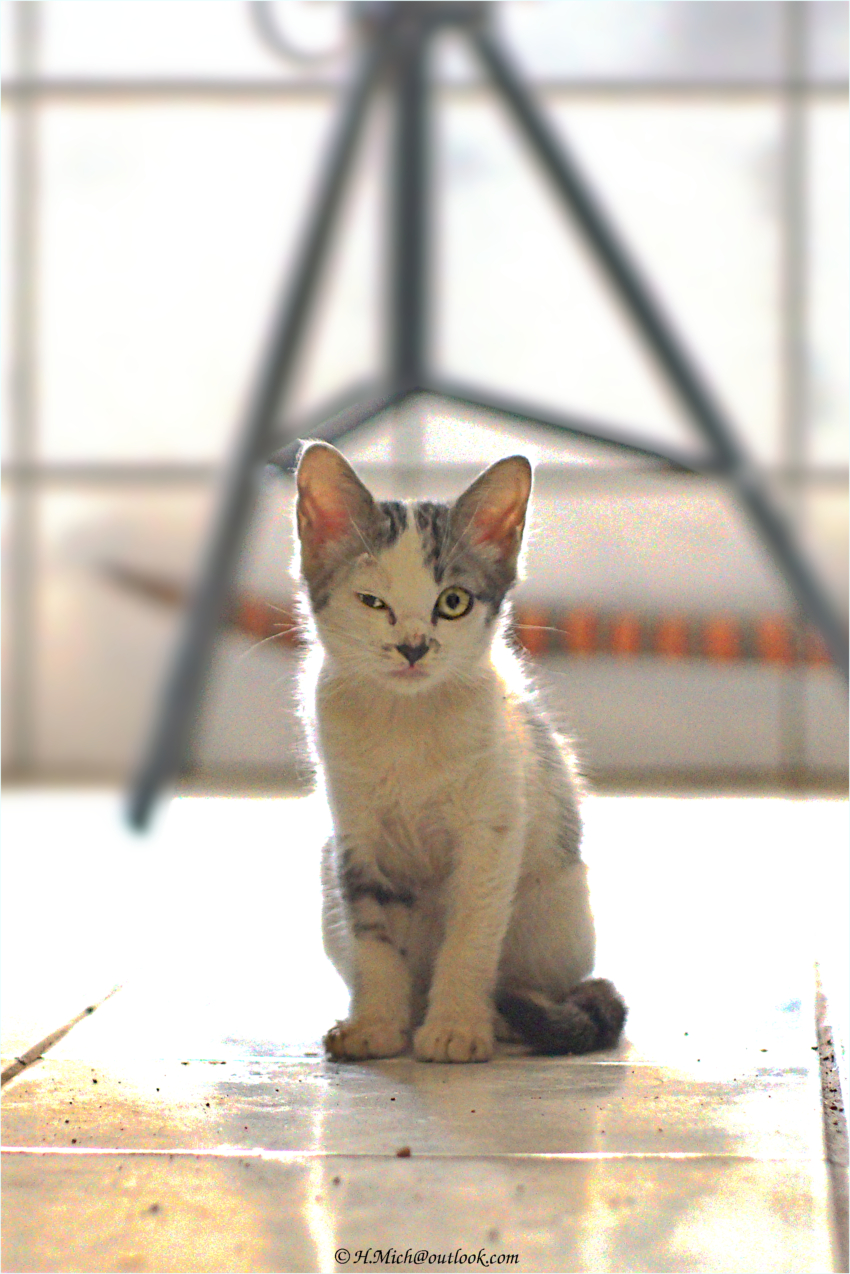 Studio-One.Art.br Repo Fotografia em Rio Preto SP/Brasil