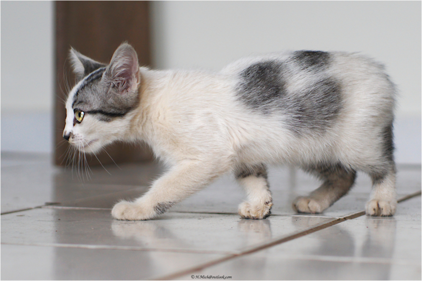 Studio-One.Art.br Repo Fotografia em Rio Preto SP/Brasil