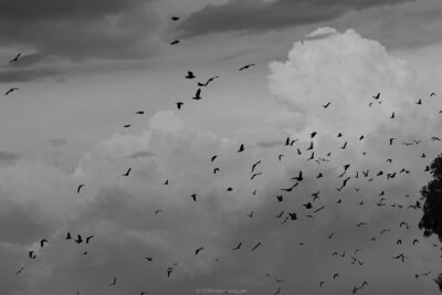 © H.mich@outlook.com