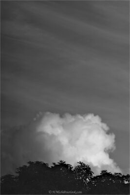 © H.mich@outlook.com