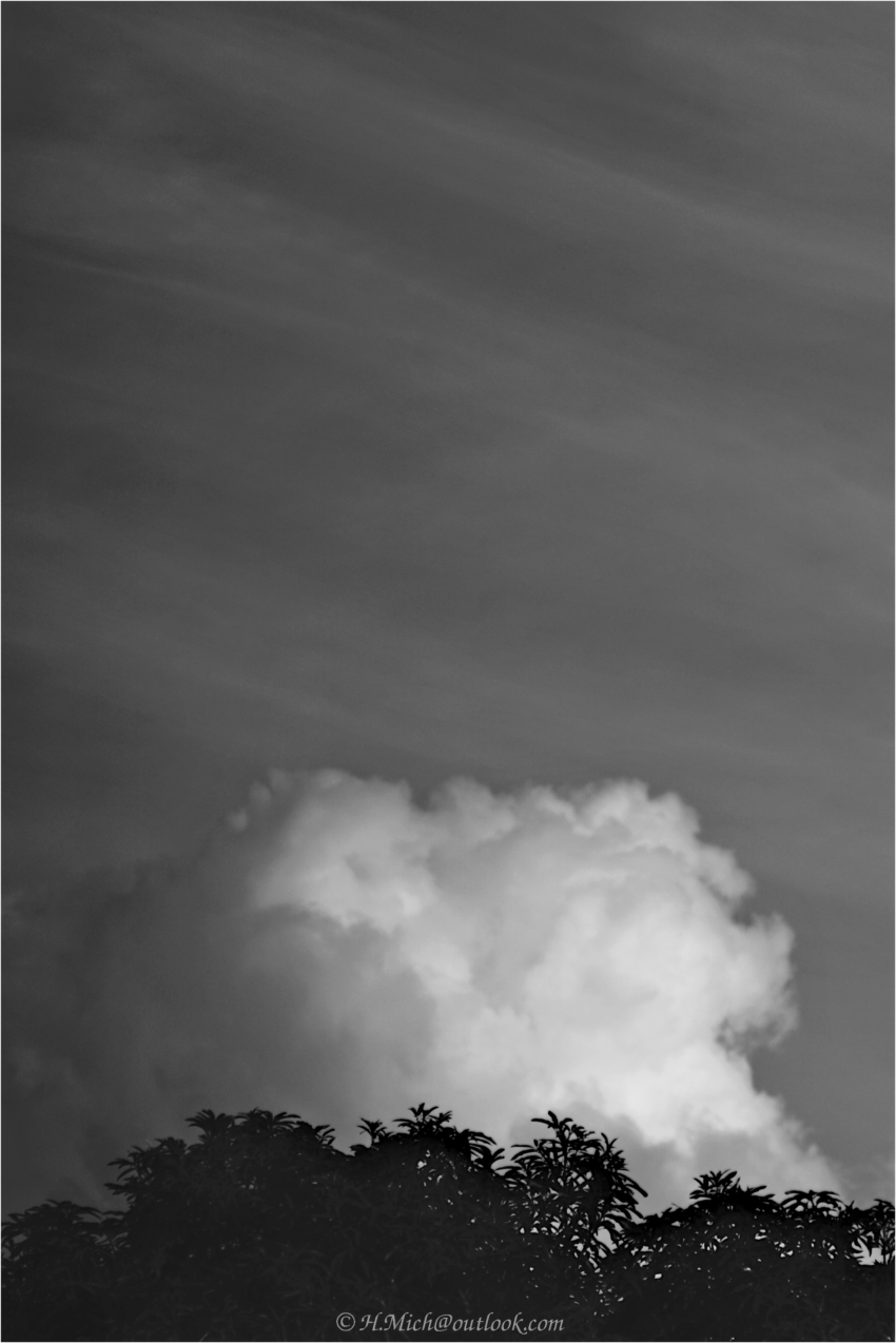 Studio-One.Art.br Repo Fotografia em Rio Preto SP/Brasil