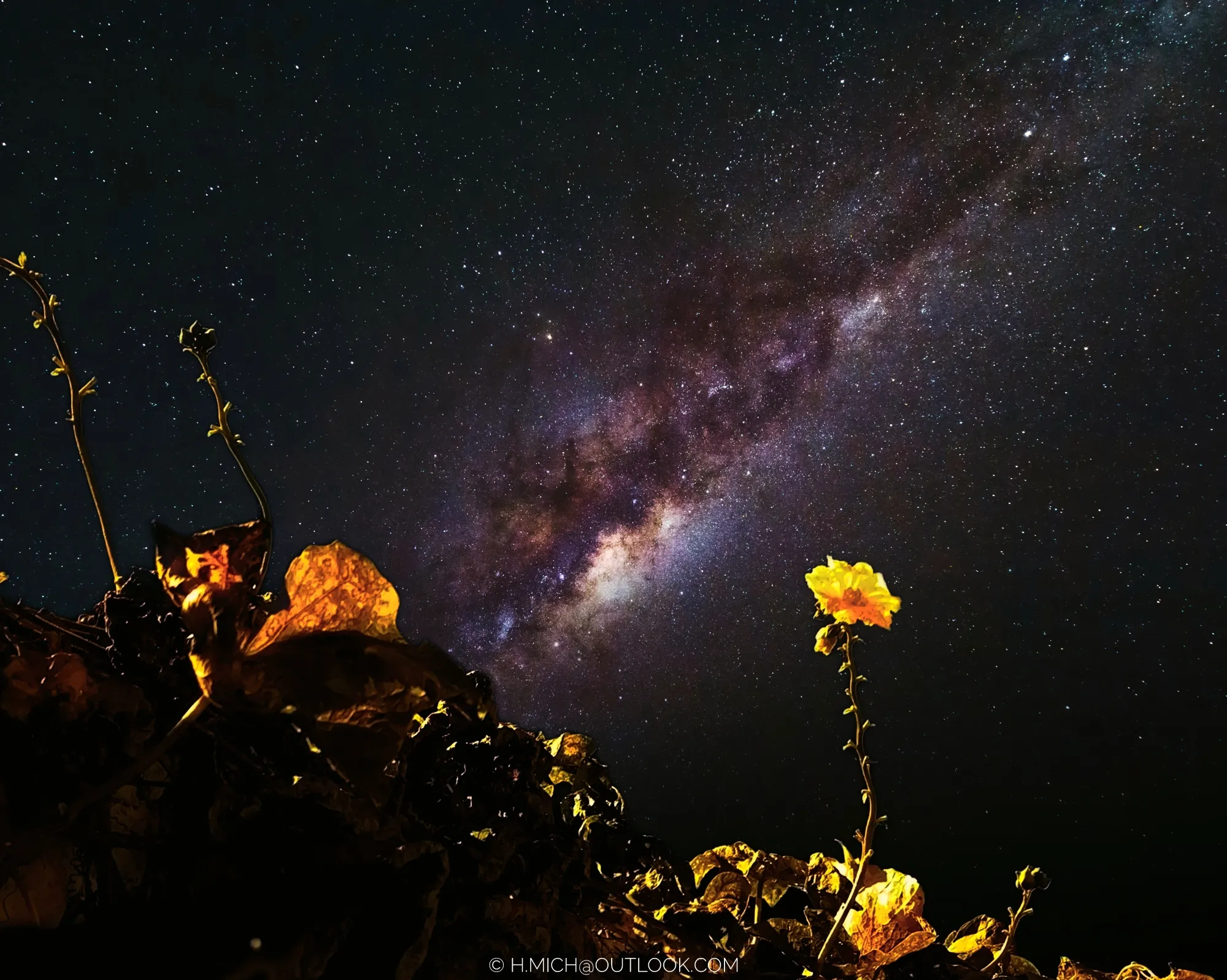 Photo Studio-One Repo (c)h.Mich@outlook.com