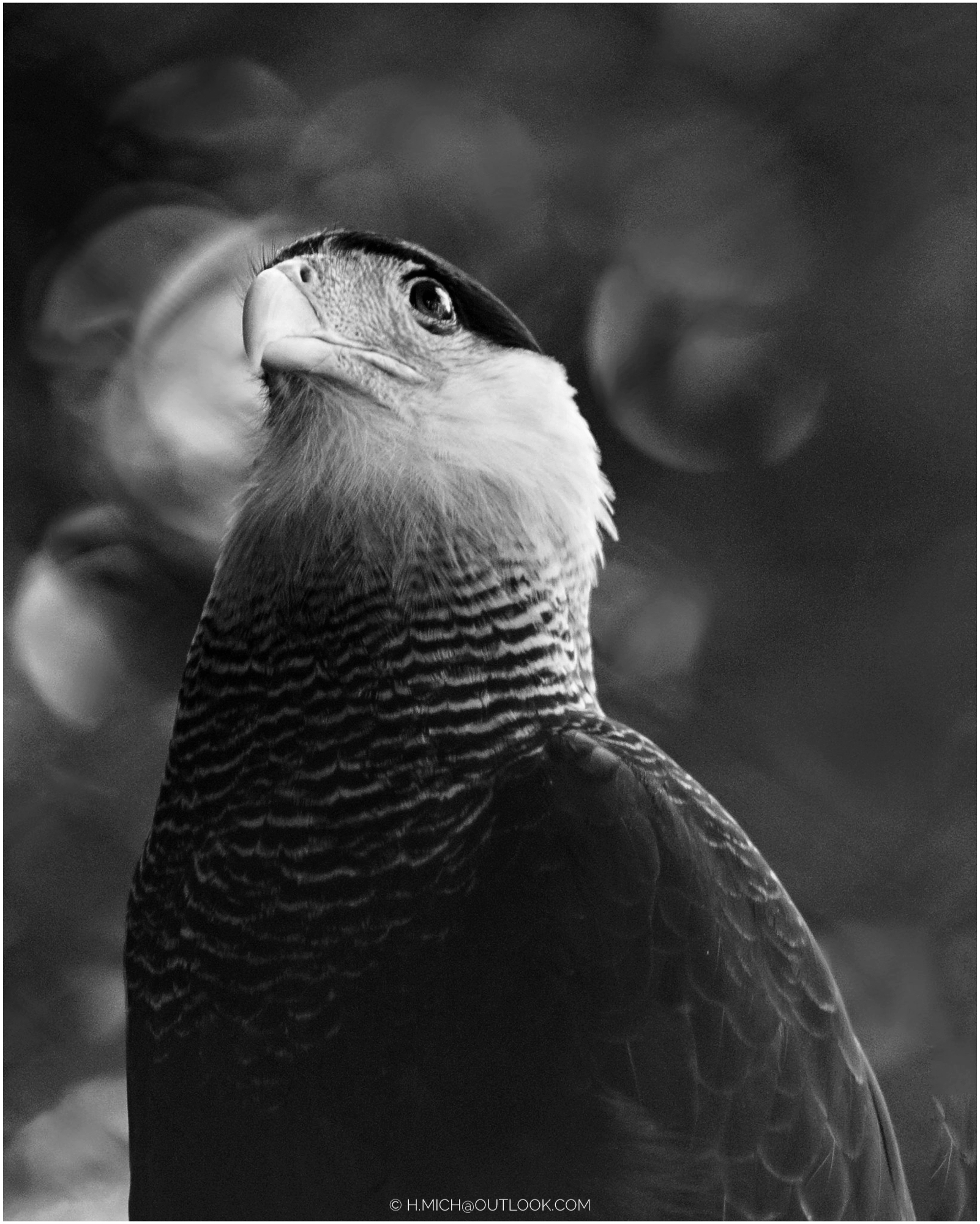 só observando …