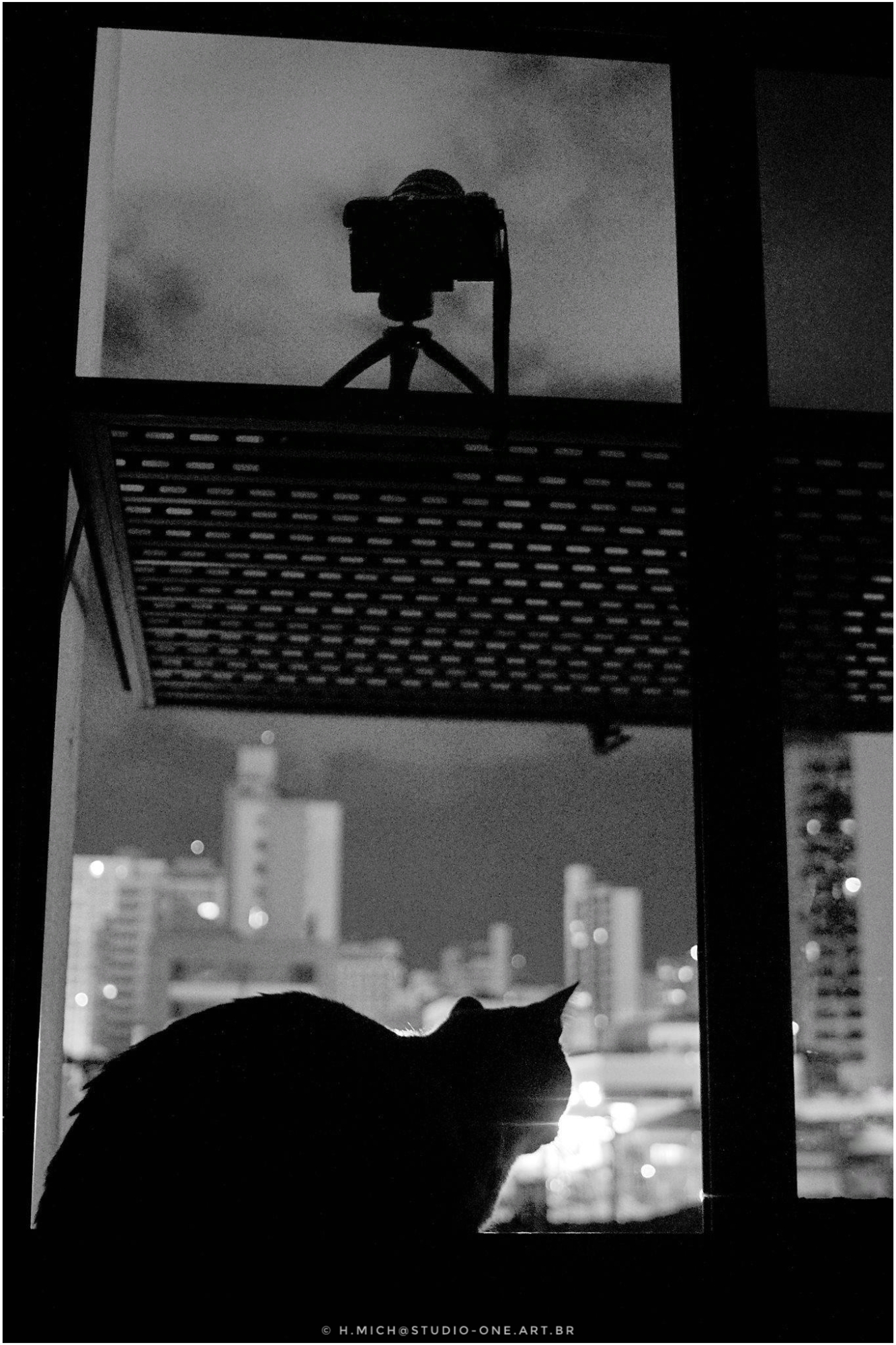 quando existe o querer