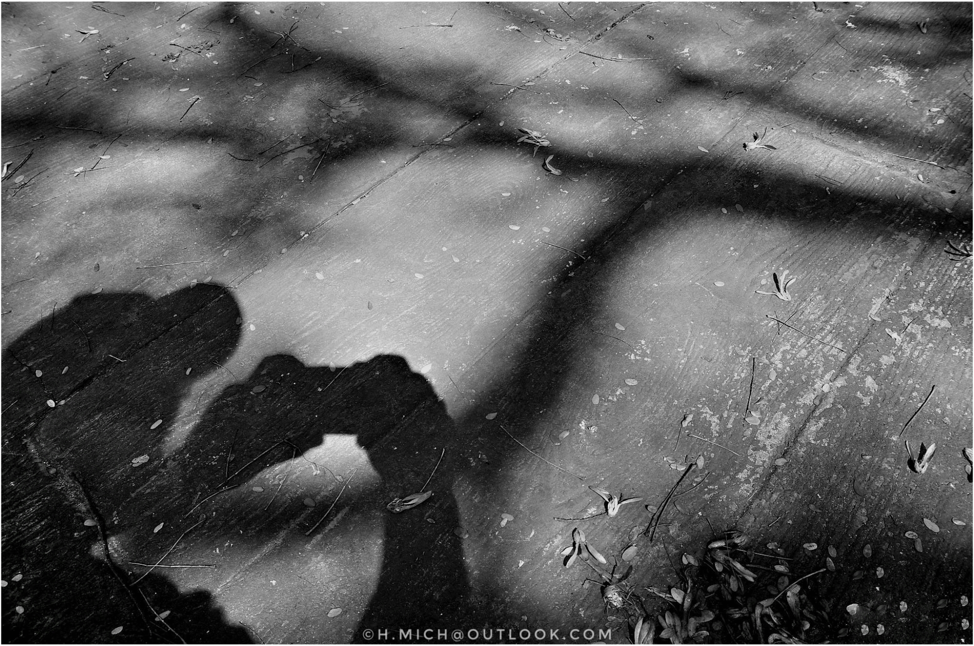 fotografar é uma profissão?