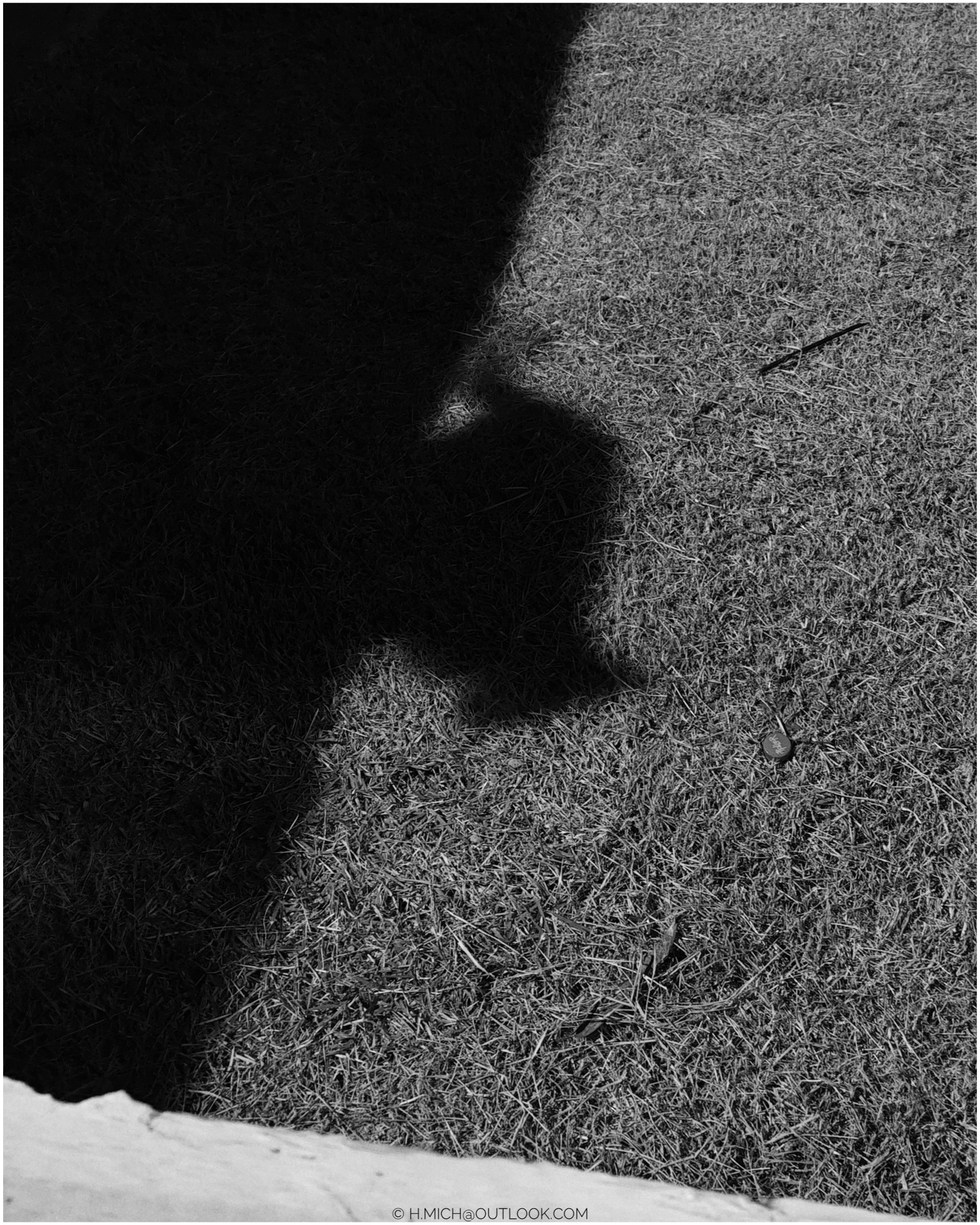 atividade noturna