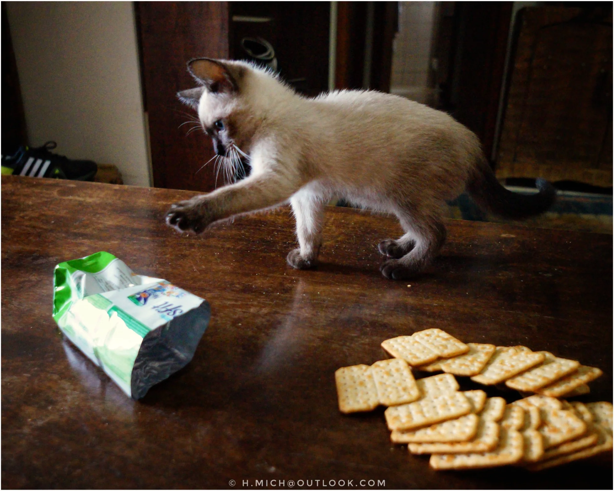 Photo Studio-One Repo (c)h.Mich@outlook.com