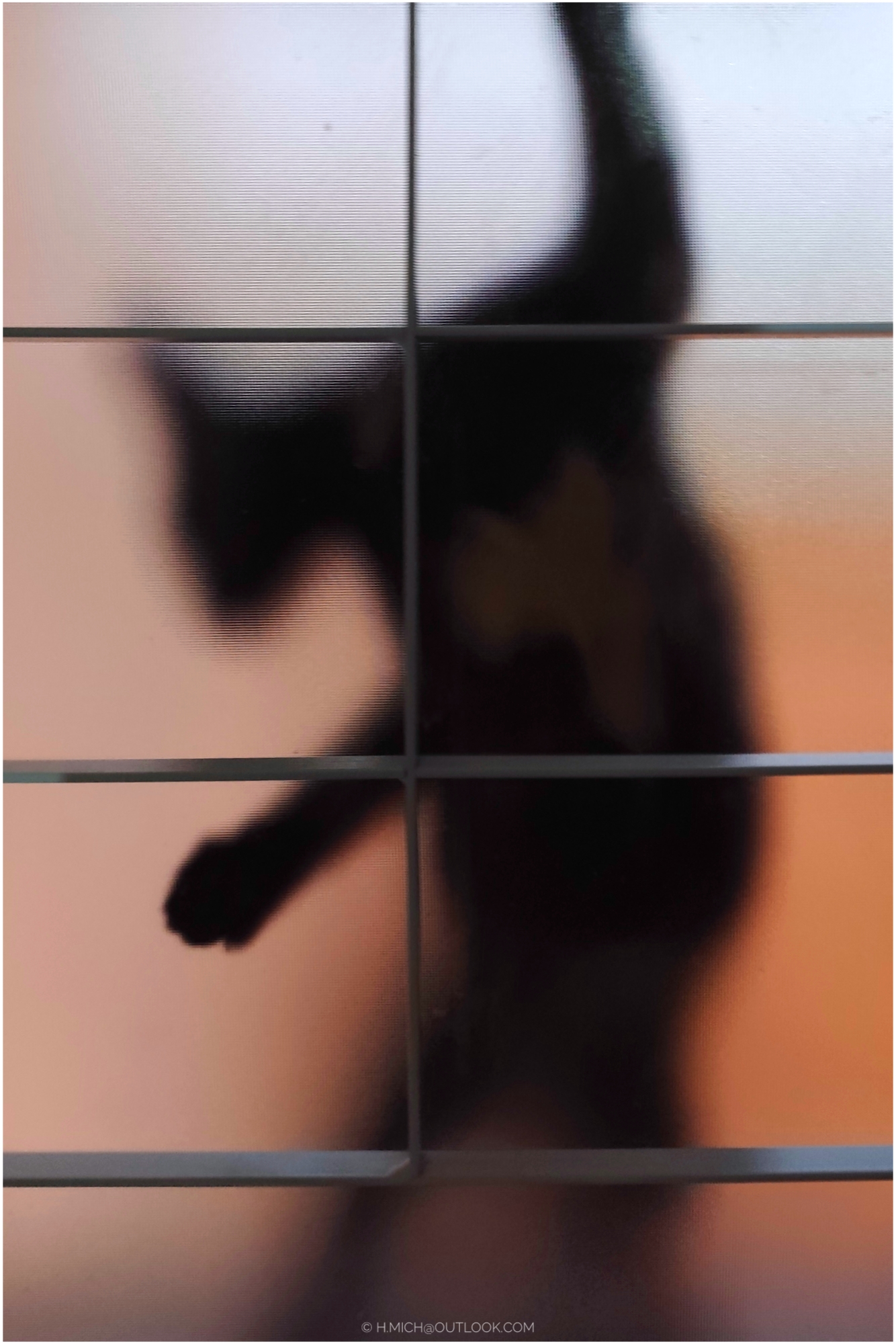 Photo Studio-One Repo (c)h.Mich@outlook.com