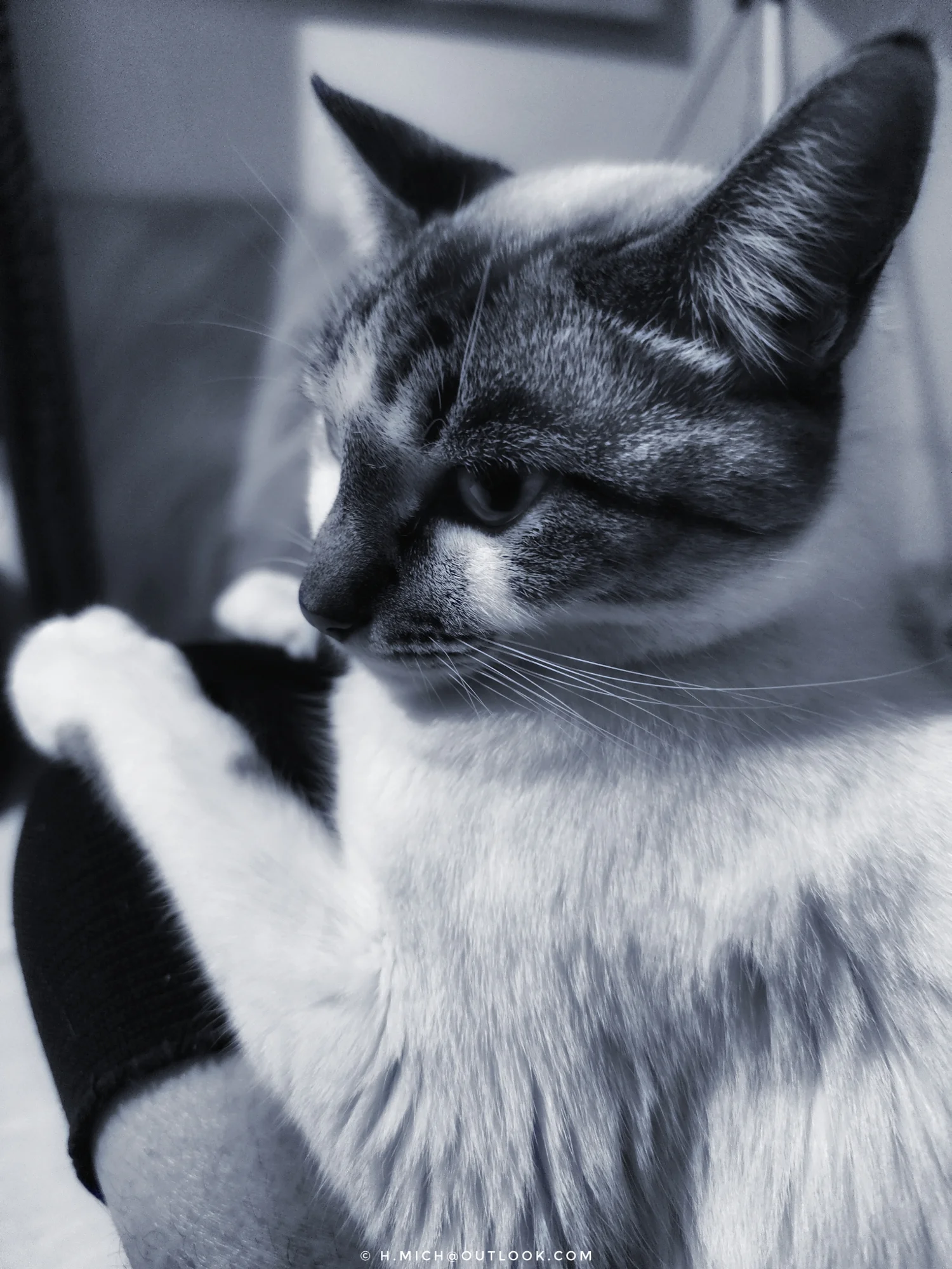 Photo Studio-One Repo (c)h.Mich@outlook.com