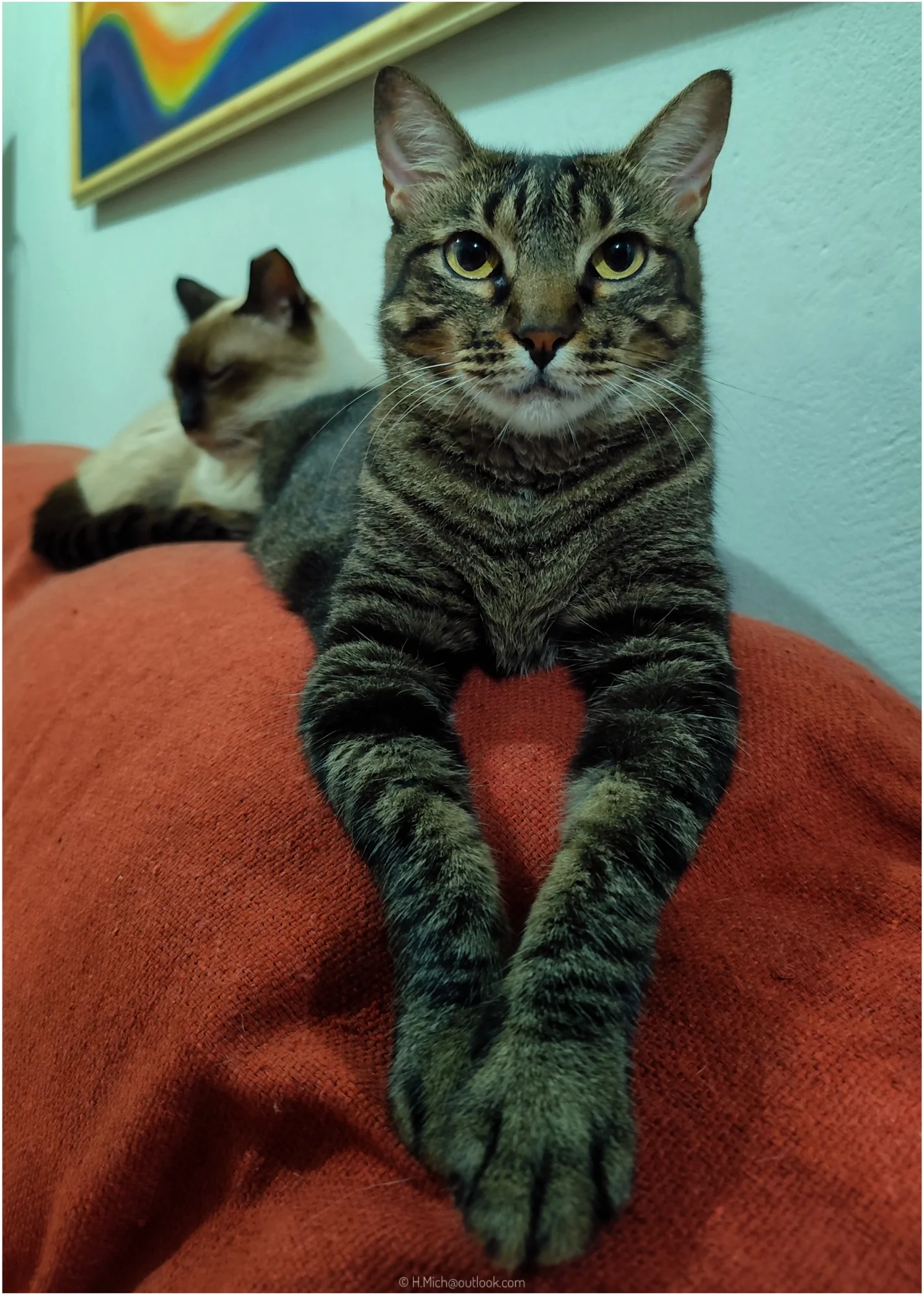 Photo Studio-One Repo (c)h.Mich@outlook.com