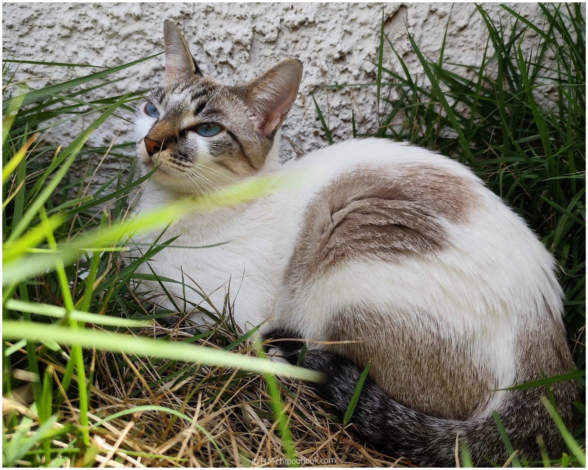 Photo Studio-One Repo (c)h.Mich@outlook.com