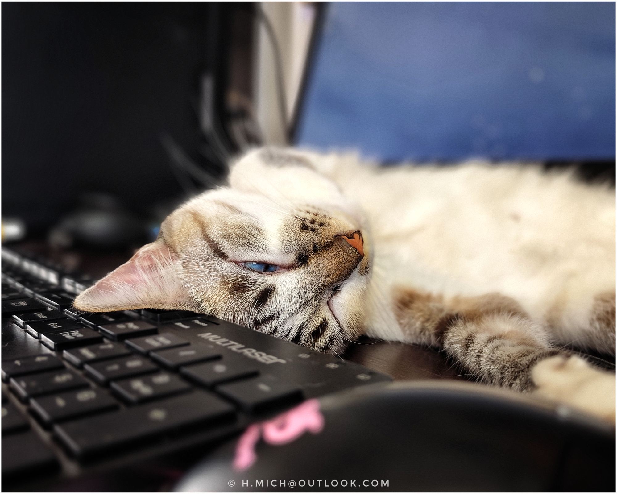 Photo Studio-One Repo (c)h.Mich@outlook.com