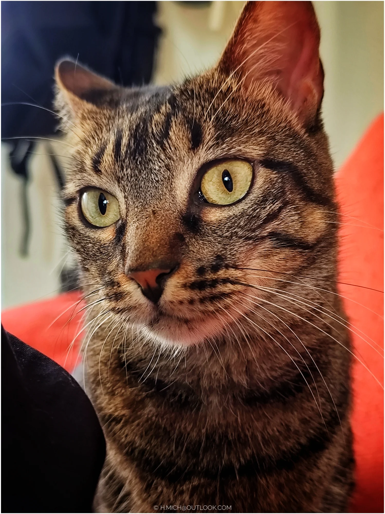 Photo Studio-One Repo (c)h.Mich@outlook.com