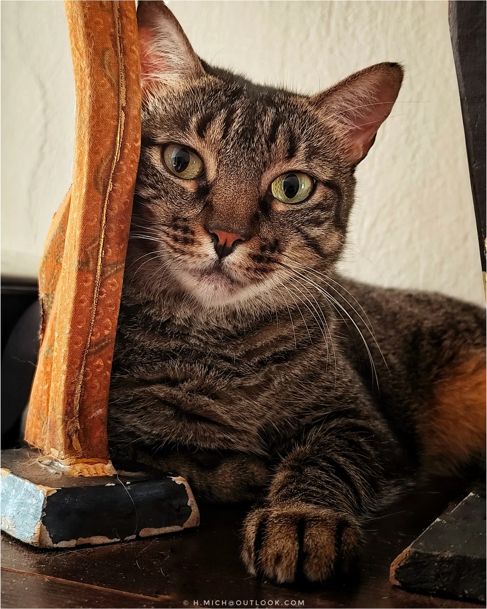 Photo Studio-One Repo (c)h.Mich@outlook.com