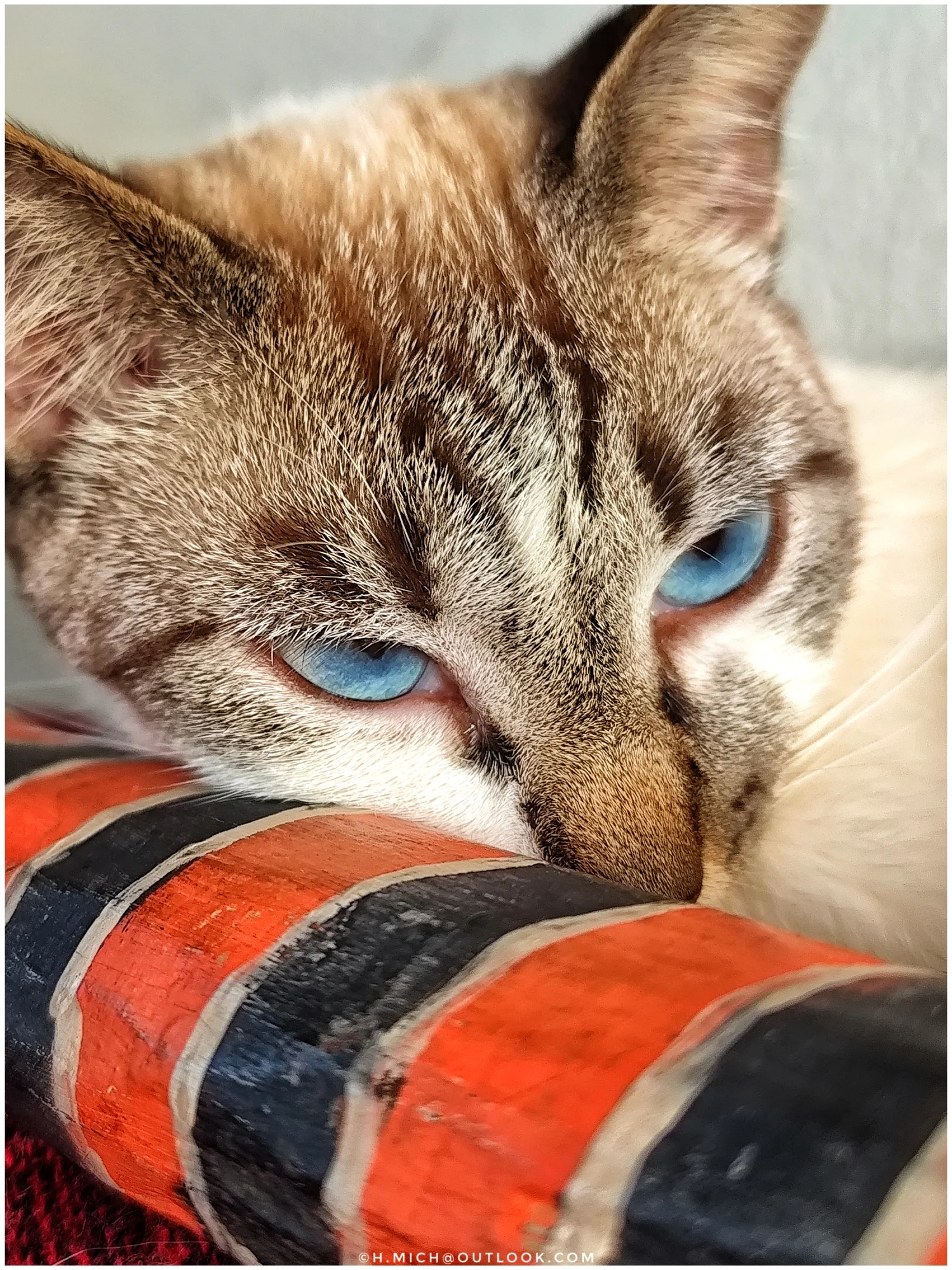 Photo Studio-One Repo (c)h.Mich@outlook.com