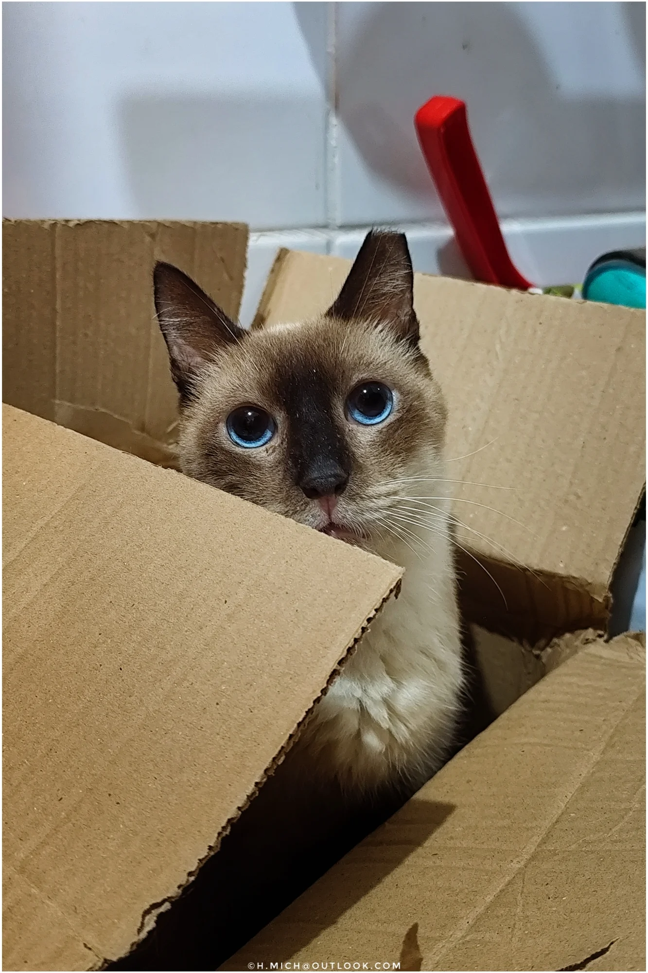 Photo Studio-One Repo (c)h.Mich@outlook.com