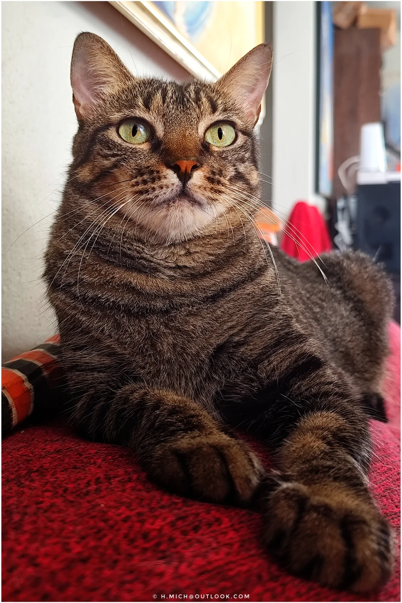 Photo Studio-One Repo (c)h.Mich@outlook.com