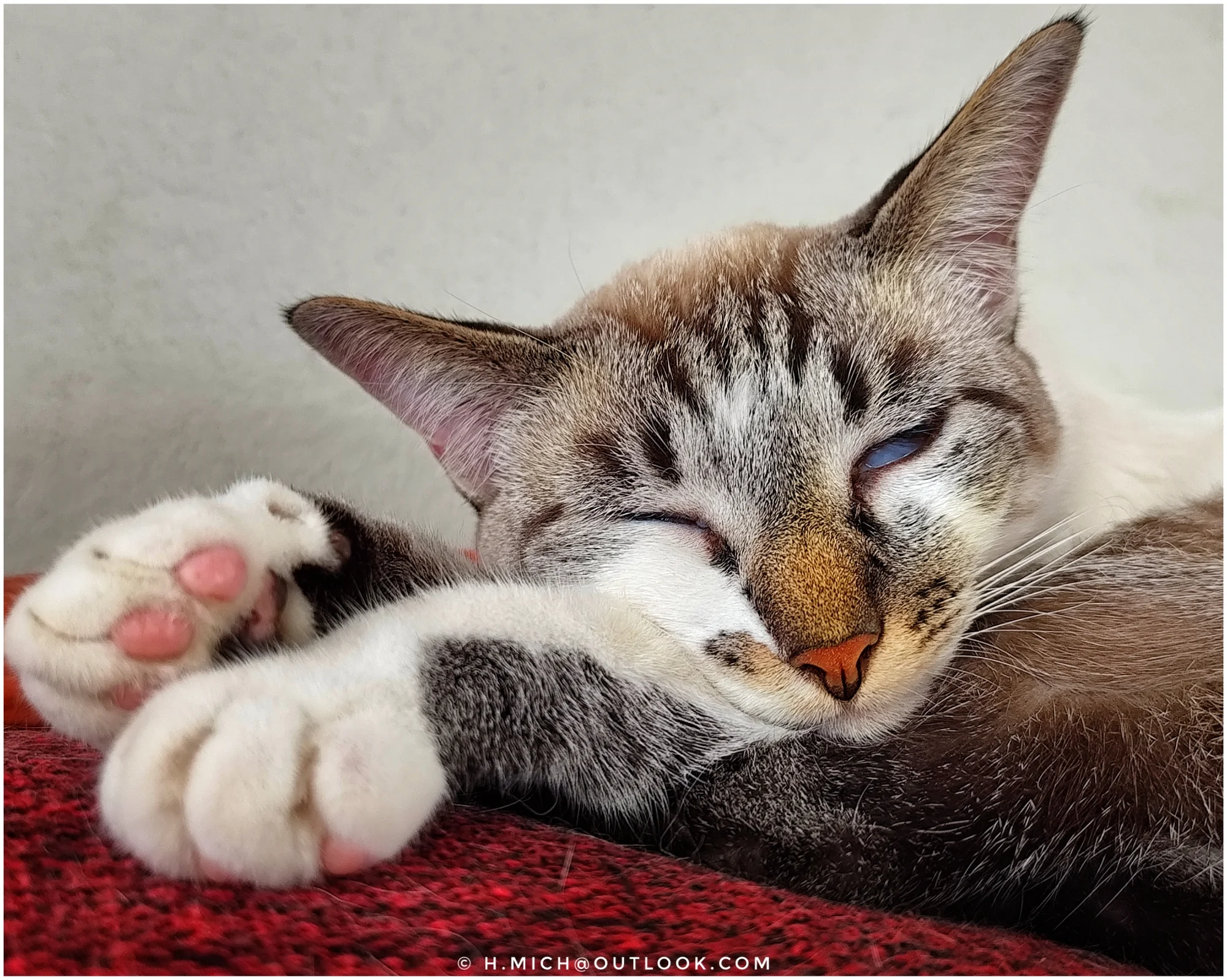 Photo Studio-One Repo (c)h.Mich@outlook.com