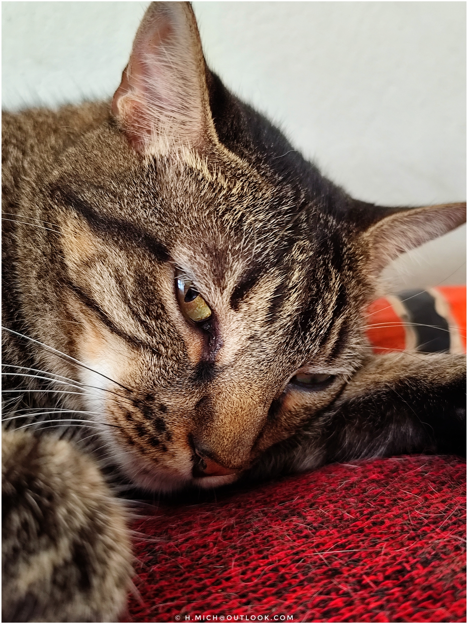 não dormimos muito ….