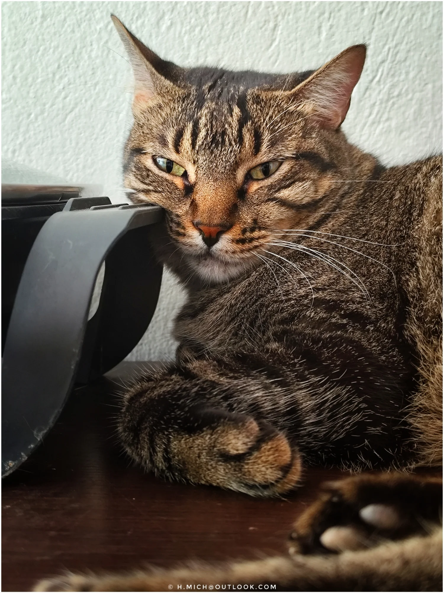 Photo Studio-One Repo (c)h.Mich@outlook.com