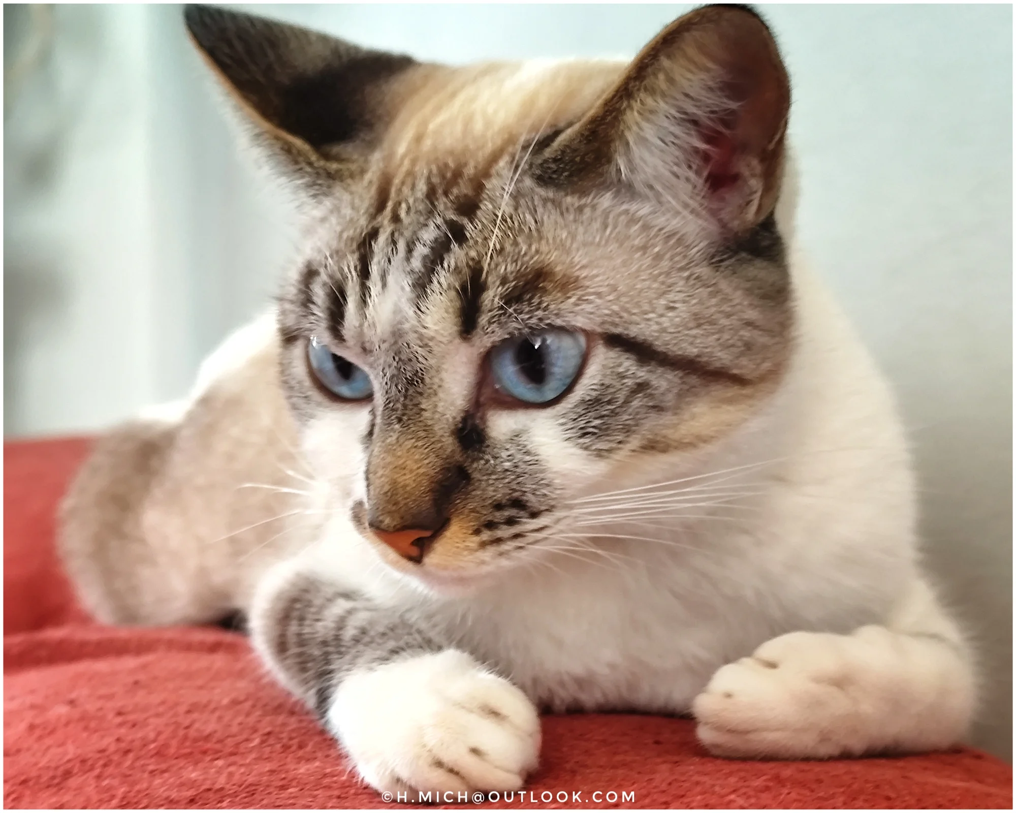 Photo Studio-One Repo (c)h.Mich@outlook.com