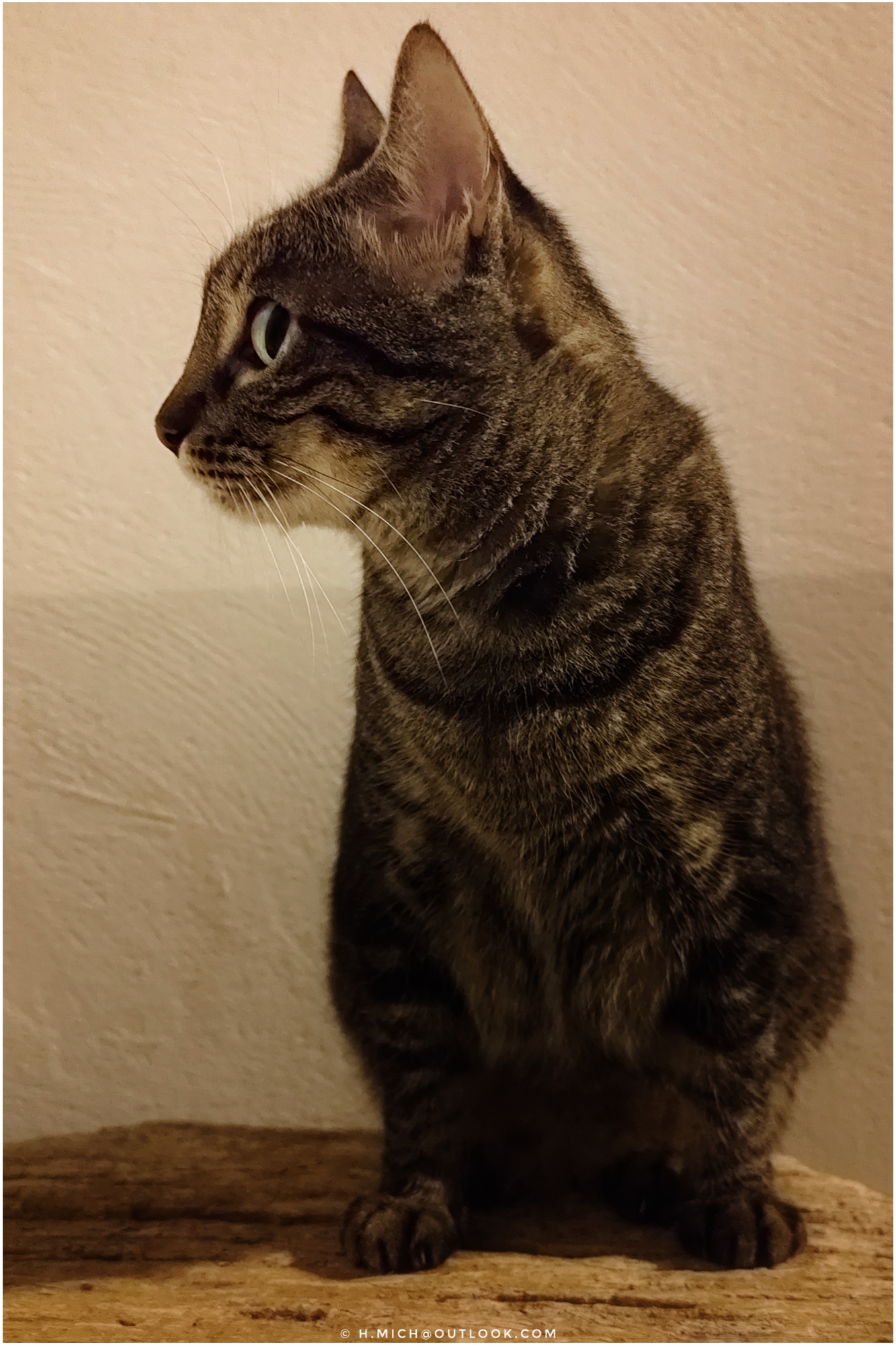 buscando seu amado …